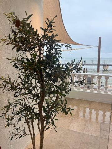 Hotel Restaurant Juanito Platja Sant Carlos de la Ràpita エクステリア 写真